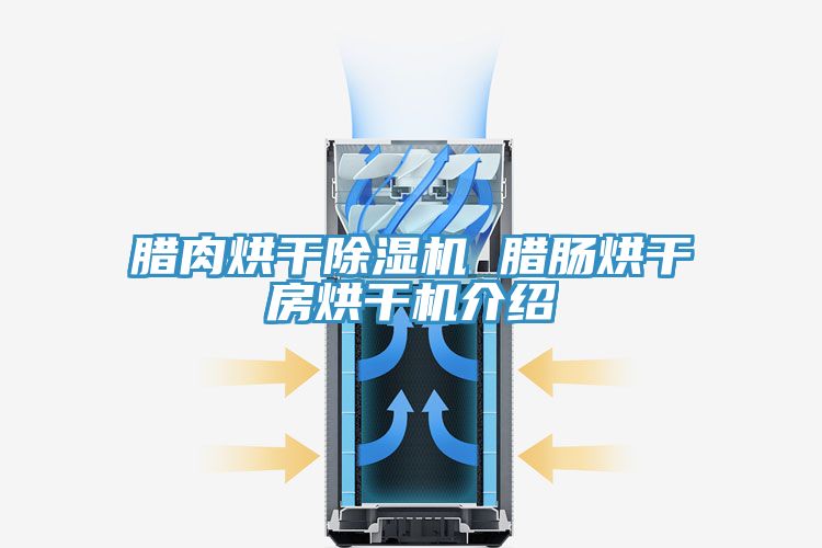 腊肉烘干MR.好色破解版 腊肠烘干房烘干机介绍