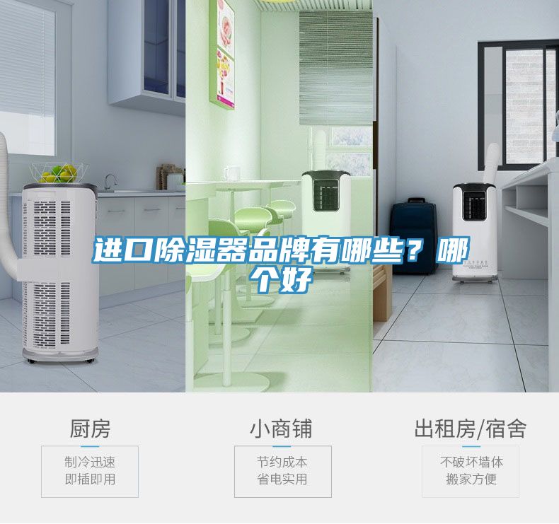 进口除湿器品牌有哪些？哪个好