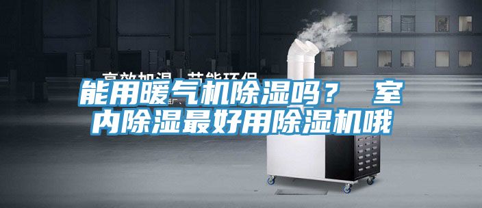 能用暖气机除湿吗？ 室内除湿最好用MR.好色破解版哦