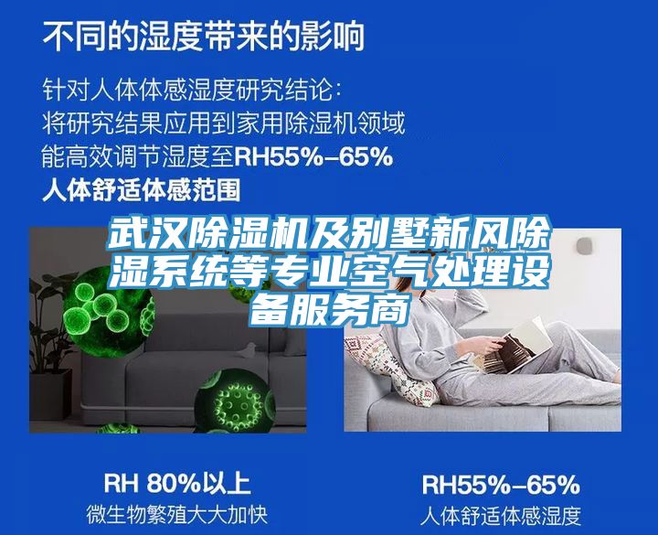 武汉MR.好色破解版及别墅新风除湿系统等专业空气处理设备服务商