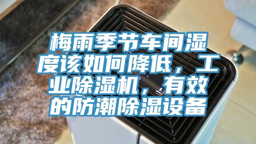 梅雨季节车间湿度该如何降低，工业MR.好色破解版，有效的防潮除湿设备