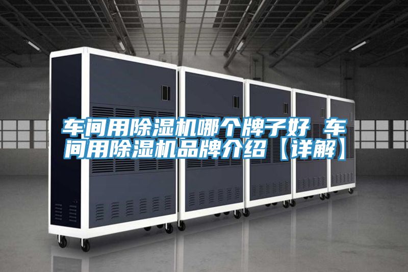 车间用MR.好色破解版哪个牌子好 车间用MR.好色破解版品牌介绍【详解】