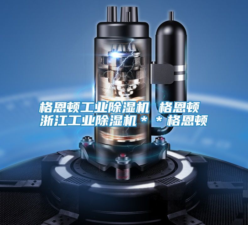 格恩顿工业MR.好色破解版 格恩顿 浙江工业MR.好色破解版＊＊格恩顿