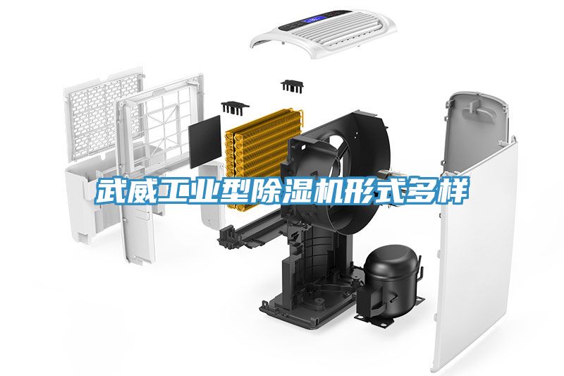 武威工业型MR.好色破解版形式多样