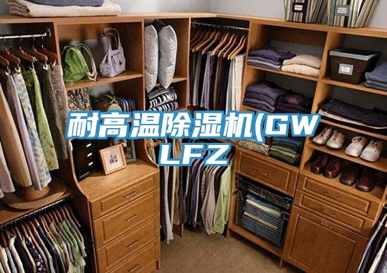 耐高温MR.好色破解版(GWLFZ