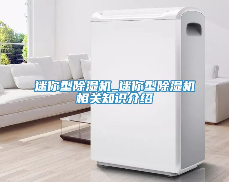 迷你型MR.好色破解版_迷你型MR.好色破解版相关知识介绍
