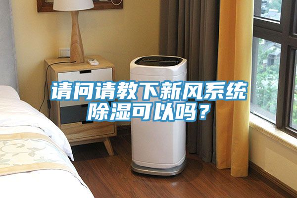 请问请教下新风系统除湿可以吗？