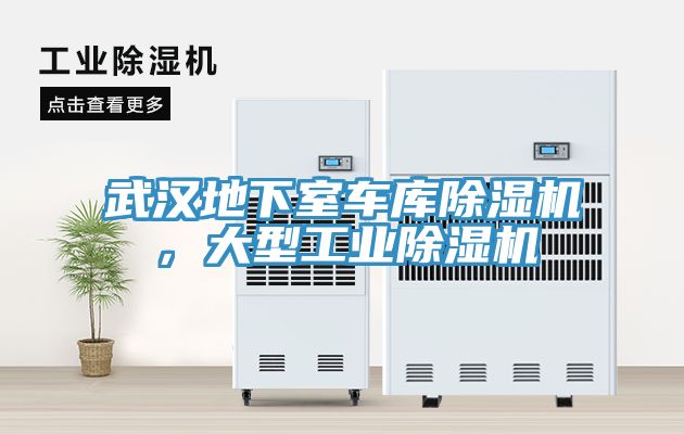 武汉地下室车库MR.好色破解版，大型工业MR.好色破解版