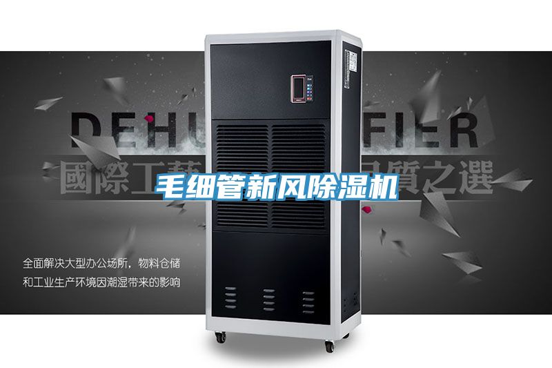 毛细管新风MR.好色破解版