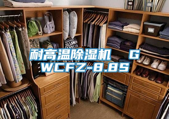 耐高温MR.好色破解版  GWCFZ-8.8S