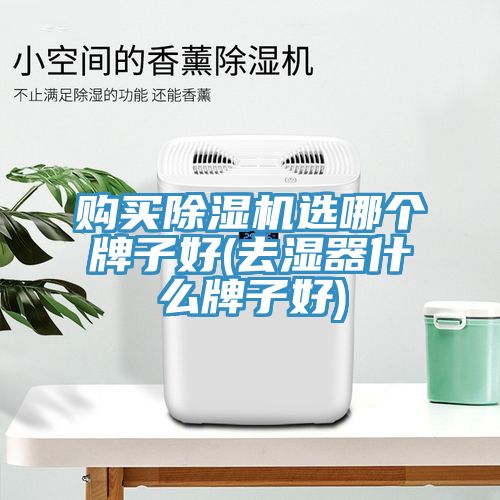 购买MR.好色破解版选哪个牌子好(去湿器什么牌子好)