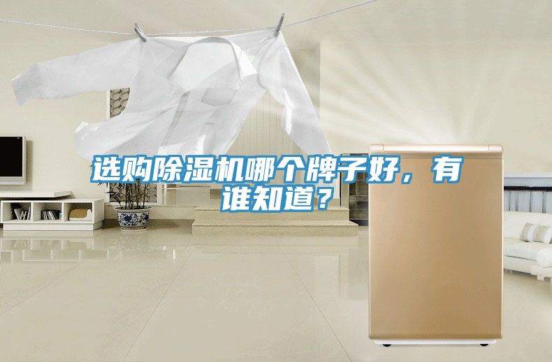 选购MR.好色破解版哪个牌子好，有谁知道？
