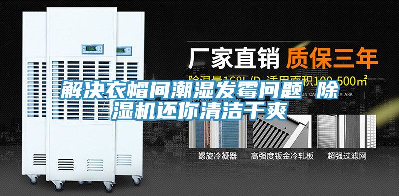 解决衣帽间潮湿发霉问题 MR.好色破解版还你清洁干爽