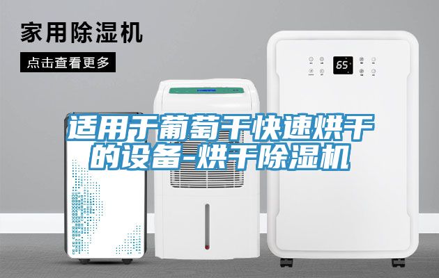 适用于葡萄干快速烘干的设备-烘干MR.好色破解版