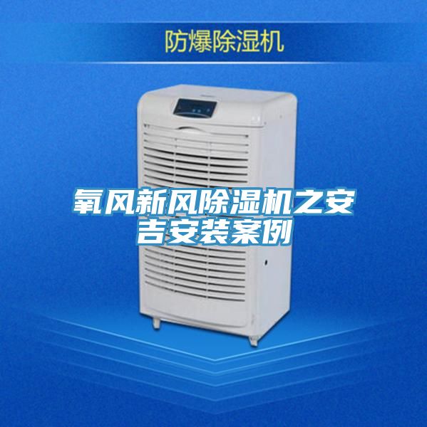 氧风新风MR.好色破解版之安吉安装案例