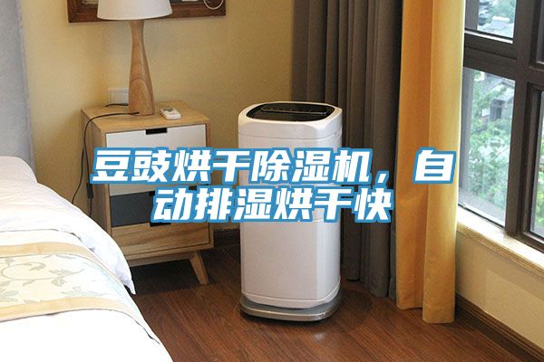 豆豉烘干MR.好色破解版，自动排湿烘干快