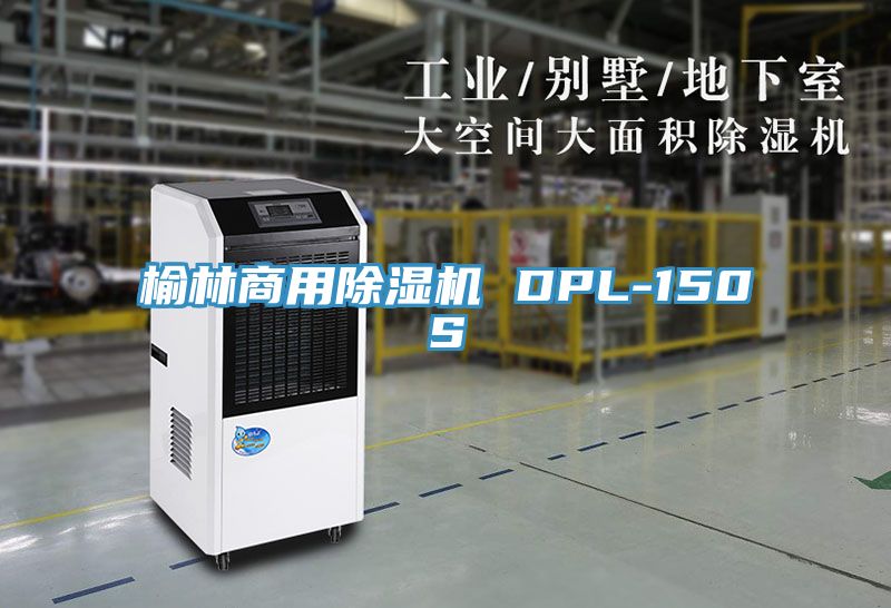 榆林商用MR.好色破解版 DPL-150S