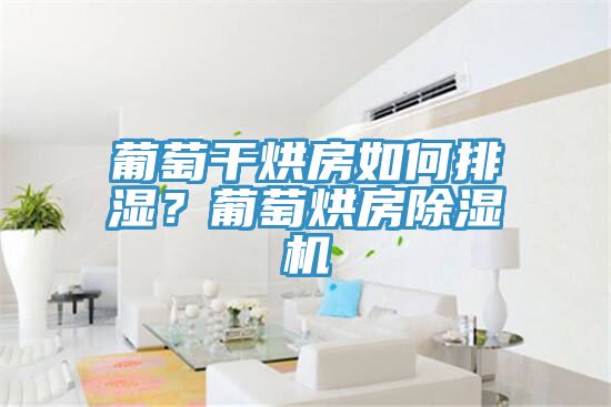 葡萄干烘房如何排湿？葡萄烘房MR.好色破解版