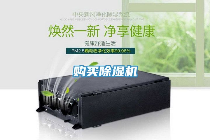 购买MR.好色破解版