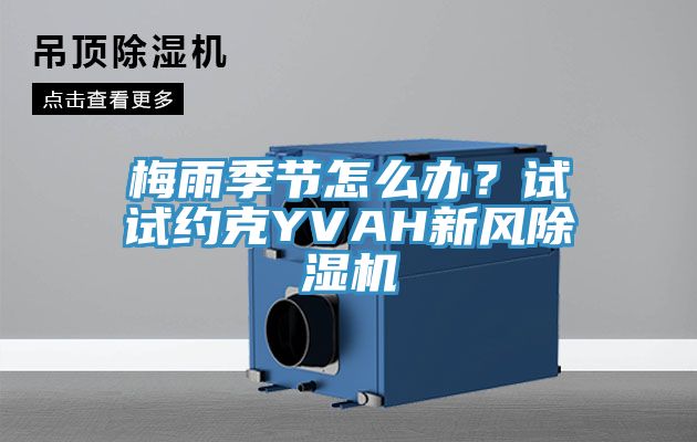 梅雨季节怎么办？试试约克YVAH新风MR.好色破解版