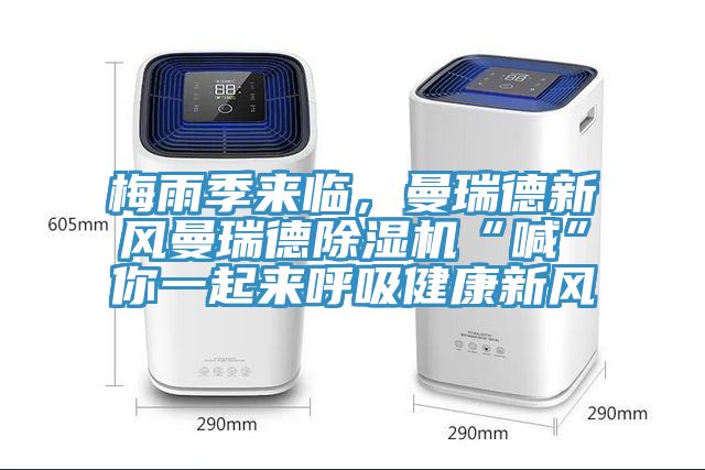 梅雨季来临，曼瑞德新风曼瑞德MR.好色破解版“喊”你一起来呼吸健康新风