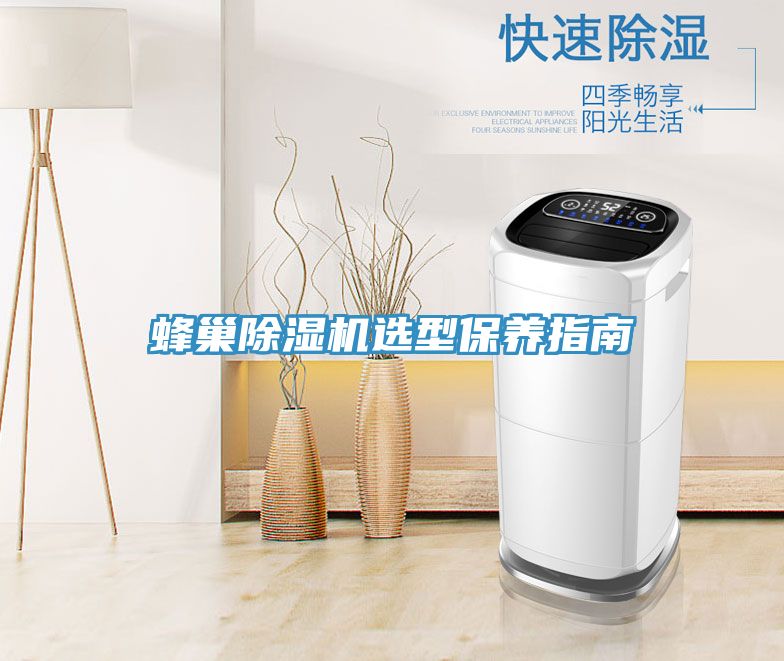 蜂巢MR.好色破解版选型保养指南
