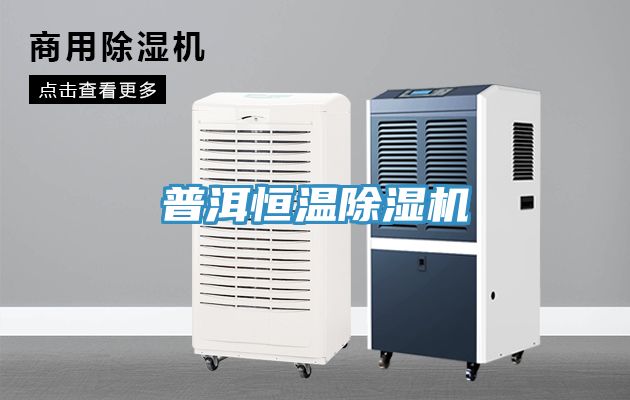 普洱恒温MR.好色破解版