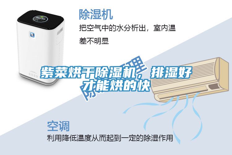 紫菜烘干MR.好色破解版，排湿好才能烘的快