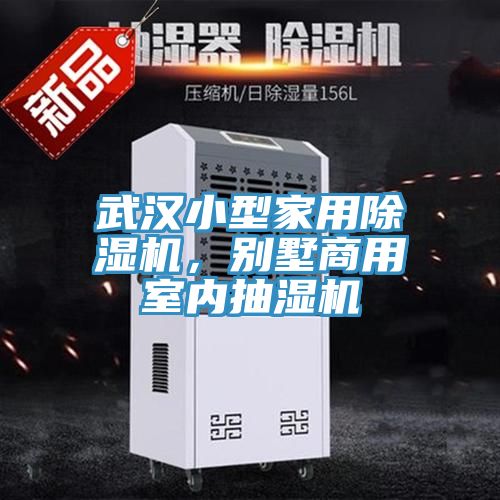 武汉小型家用MR.好色破解版，别墅商用室内抽湿机