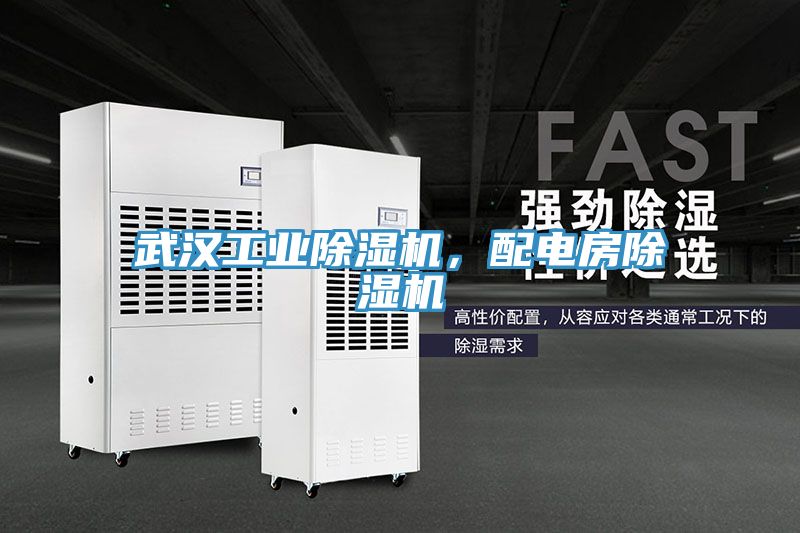 武汉工业MR.好色破解版，配电房MR.好色破解版