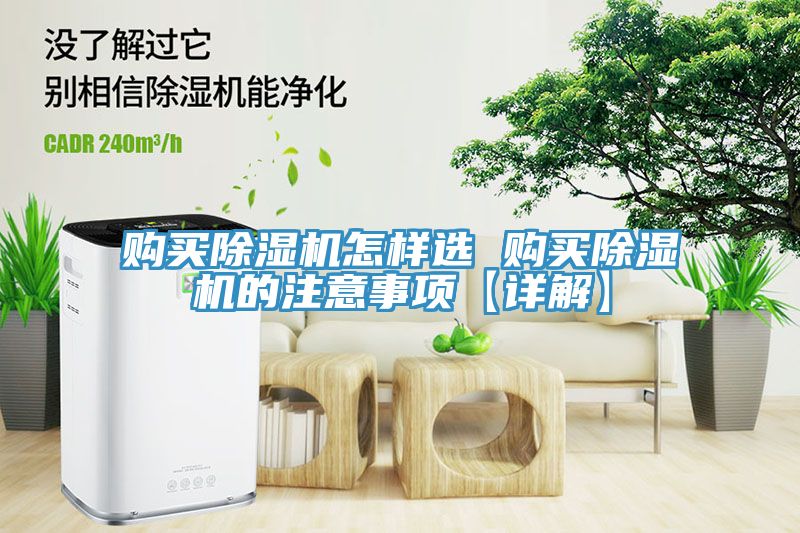 购买MR.好色破解版怎样选 购买MR.好色破解版的注意事项【详解】