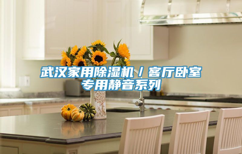 武汉家用MR.好色破解版／客厅卧室专用静音系列