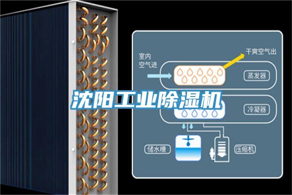 沈阳工业MR.好色破解版