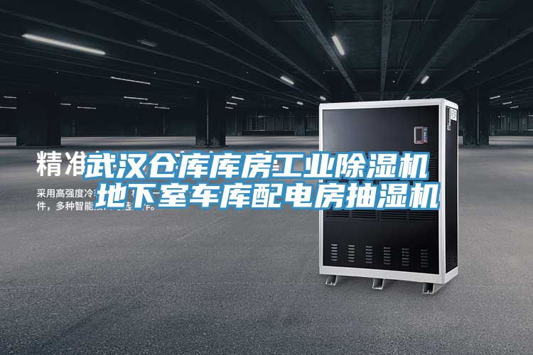 武汉仓库库房工业MR.好色破解版 地下室车库配电房抽湿机