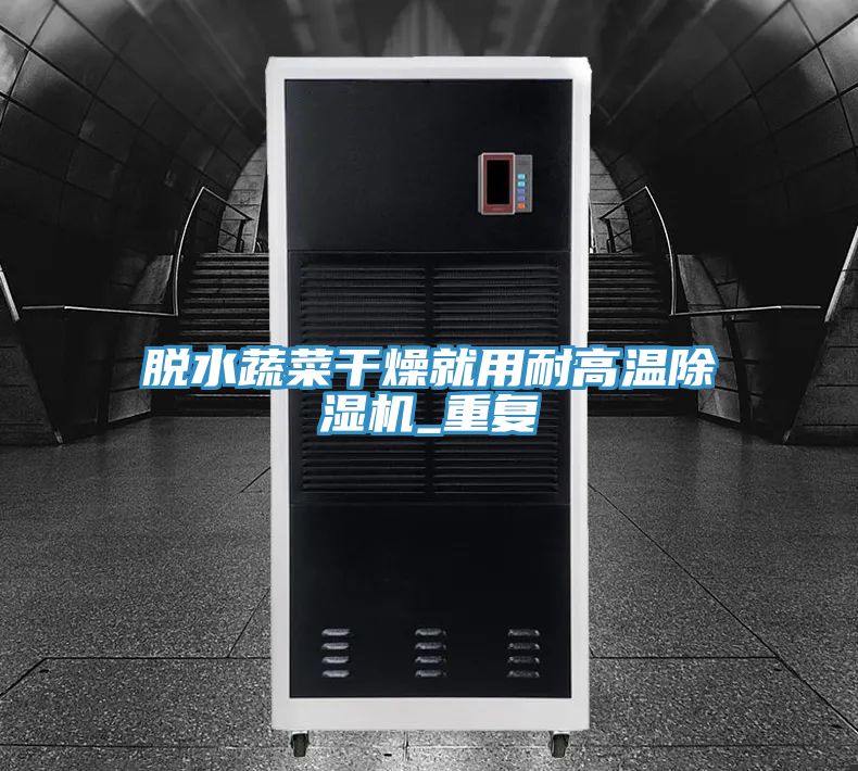 脱水蔬菜干燥就用耐高温MR.好色破解版_重复
