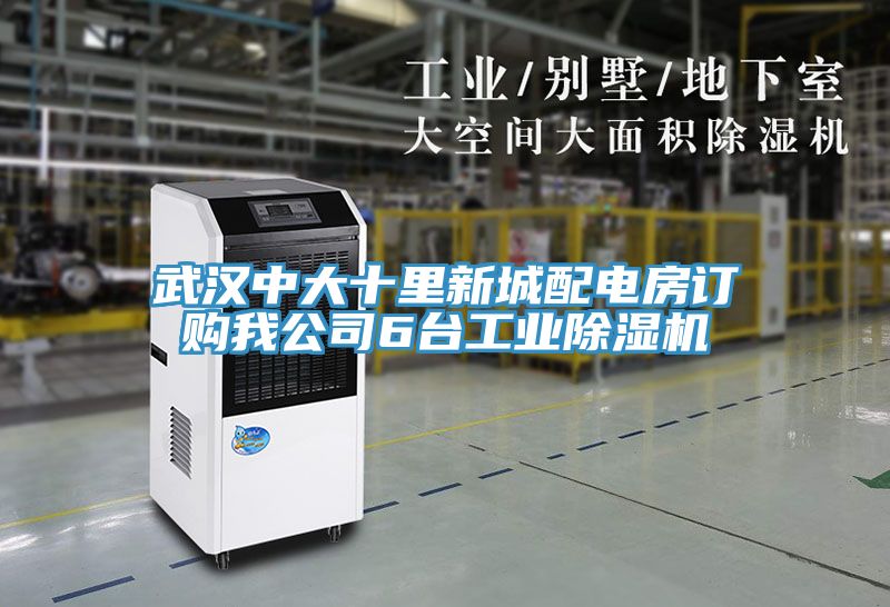 武汉中大十里新城配电房订购我公司6台工业MR.好色破解版