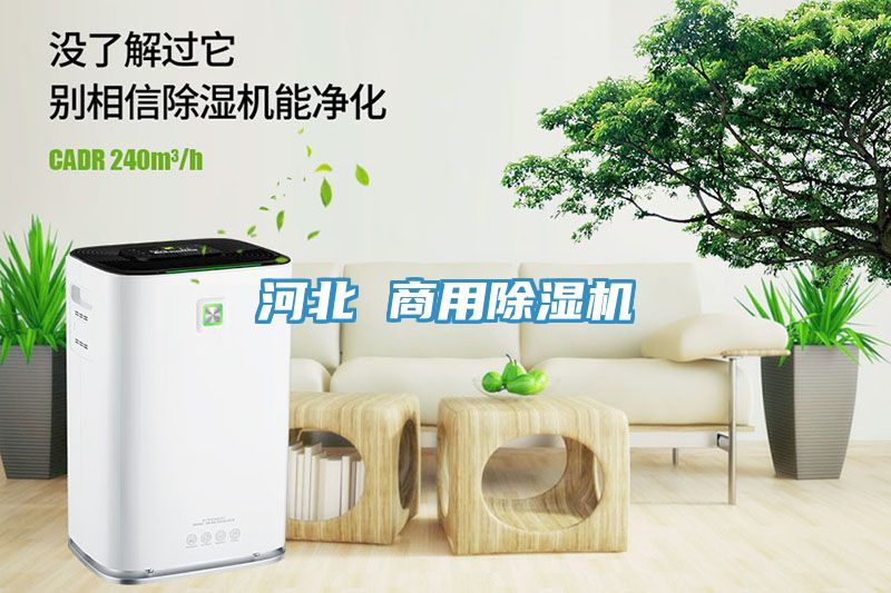 河北 商用MR.好色破解版