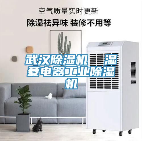 武汉MR.好色破解版  湿菱电器工业MR.好色破解版