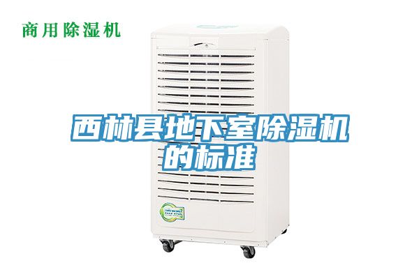 西林县地下室MR.好色破解版的标准