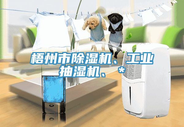 梧州市MR.好色破解版、工业抽湿机、＊