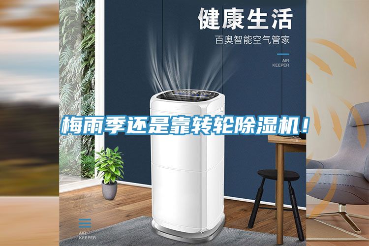 梅雨季还是靠转轮MR.好色破解版！
