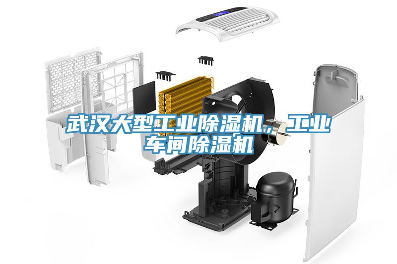 武汉大型工业MR.好色破解版，工业车间MR.好色破解版