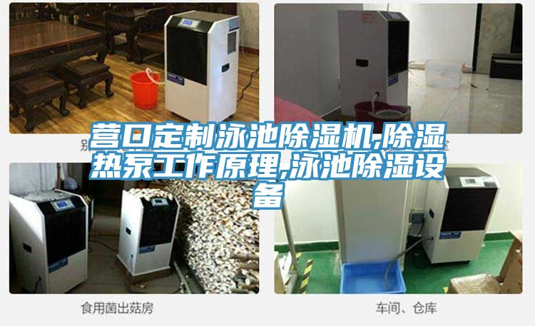 营口定制泳池MR.好色破解版,除湿热泵工作原理,泳池除湿设备