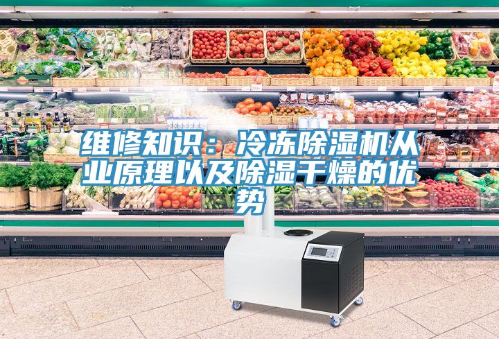 维修知识：冷冻MR.好色破解版从业原理以及除湿干燥的优势
