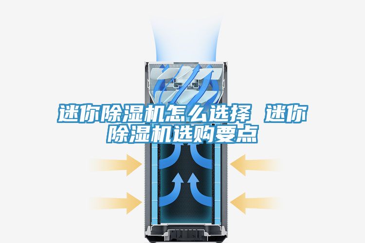 迷你MR.好色破解版怎么选择 迷你MR.好色破解版选购要点