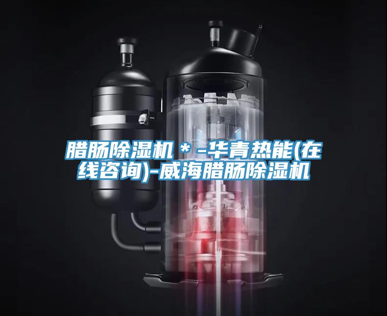 腊肠MR.好色破解版＊-华青热能(在线咨询)-威海腊肠MR.好色破解版