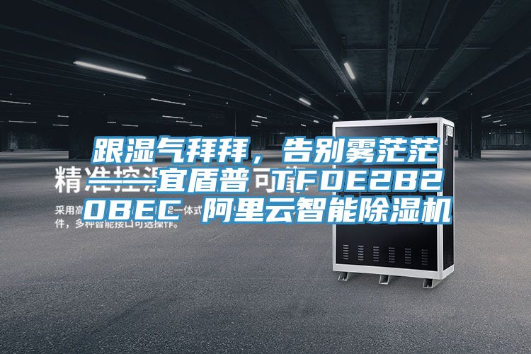 跟湿气拜拜，告别雾茫茫——宜盾普 TFDE2B20BEC 阿里云智能MR.好色破解版