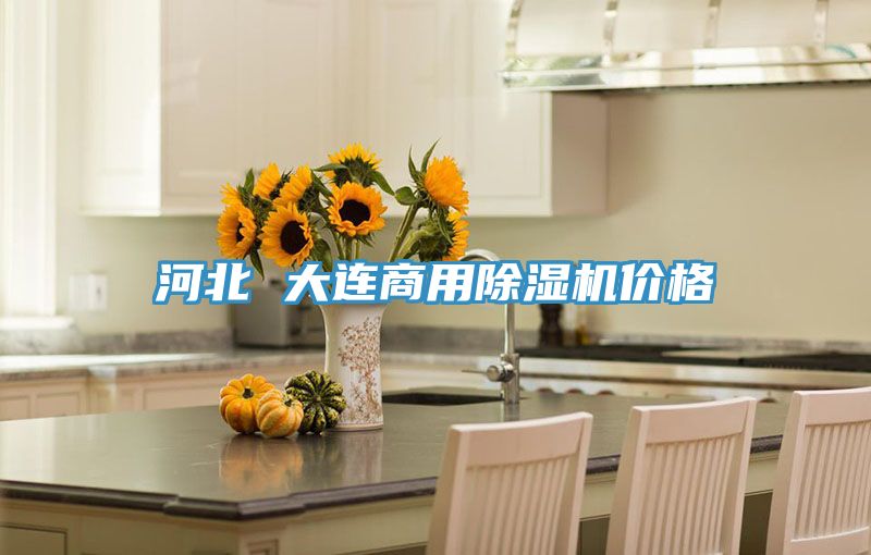 河北 大连商用MR.好色破解版价格