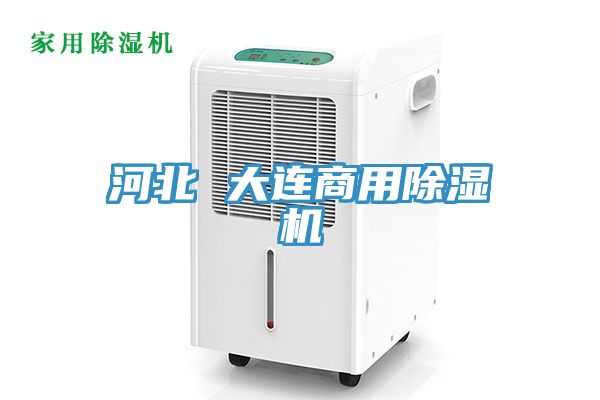 河北 大连商用MR.好色破解版