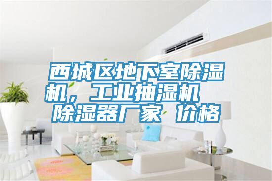 西城区地下室MR.好色破解版，工业抽湿机  除湿器厂家 价格
